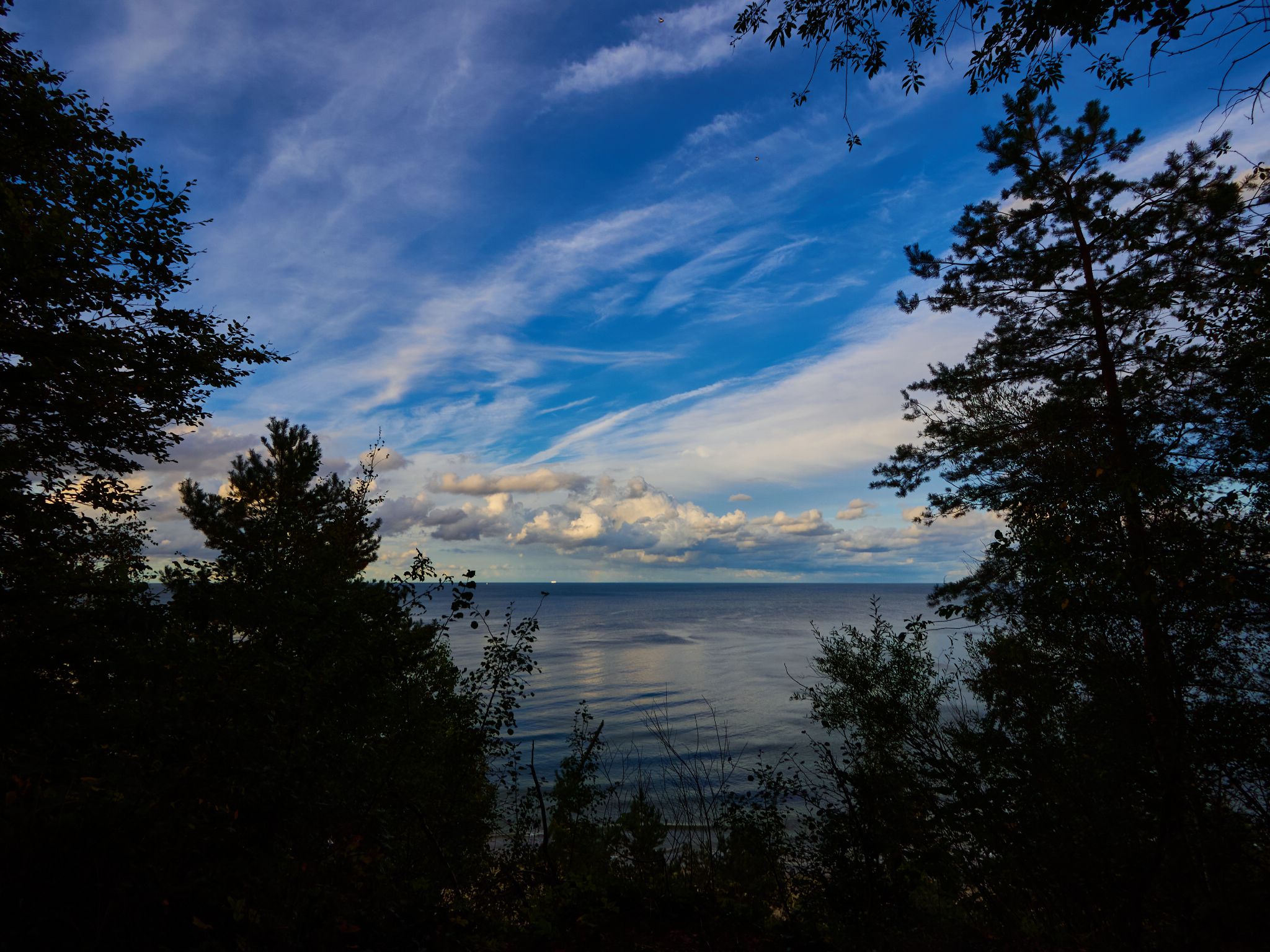 Landschaft 2024  1718 Usedom